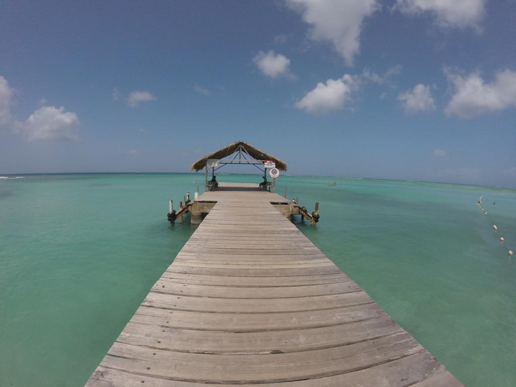 Fish Tobago Guesthouse Buccoo Buitenkant foto