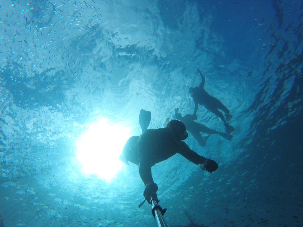 Fish Tobago Guesthouse Buccoo Buitenkant foto