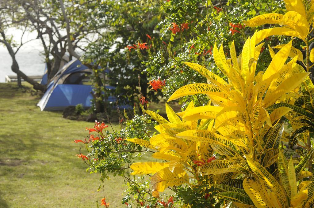 Fish Tobago Guesthouse Buccoo Buitenkant foto